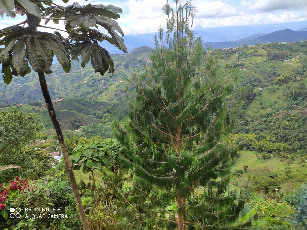 Mirador Finca Morrogacho Manizales Buitenkant foto