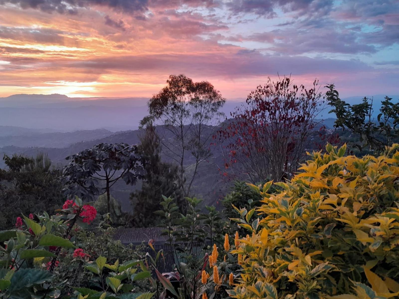 Mirador Finca Morrogacho Manizales Buitenkant foto