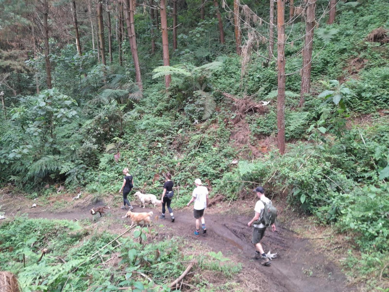 Mirador Finca Morrogacho Manizales Buitenkant foto
