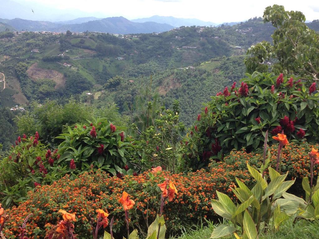 Mirador Finca Morrogacho Manizales Buitenkant foto